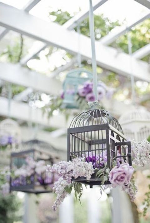 lila und Lavendel blühen Anordnung in einem hängenden Käfig sieht cool aus