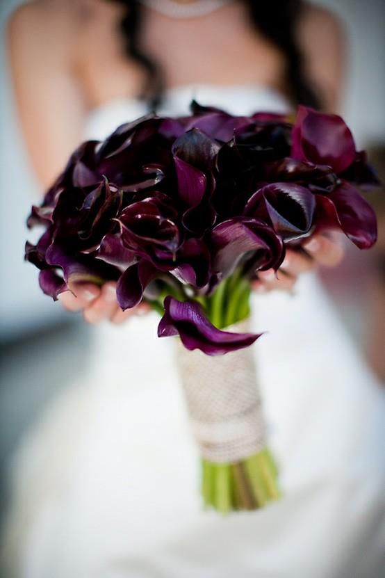 deep purple calla-Lilien sind eine zeitlose Idee für jede Art von Hochzeit