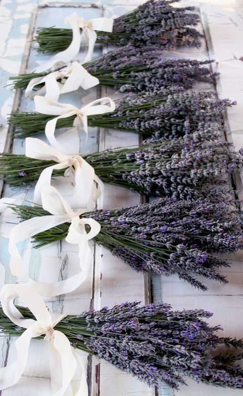 Lavendel mit Sahne Zierband-Bögen Brautjungfern Sträuße