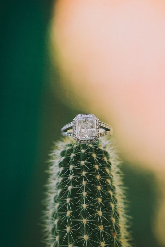 Fresh and cool ideas for a cacti filled wedding  11
