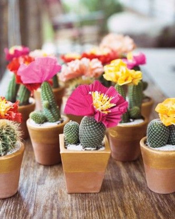 Picture Of fresh and cool ideas for a cacti filled wedding  17