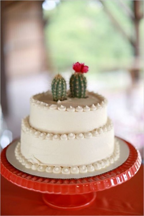 Fresh And Cool Ideas For A Cacti Filled Wedding