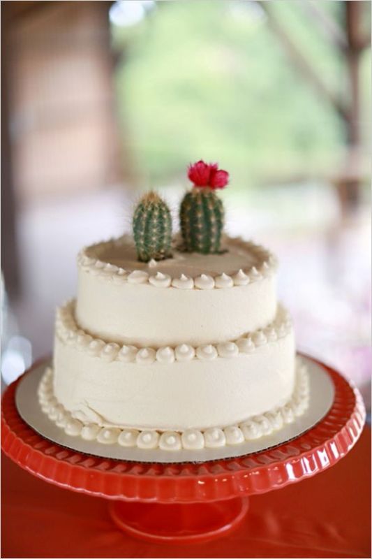 Fresh and cool ideas for a cacti filled wedding  5