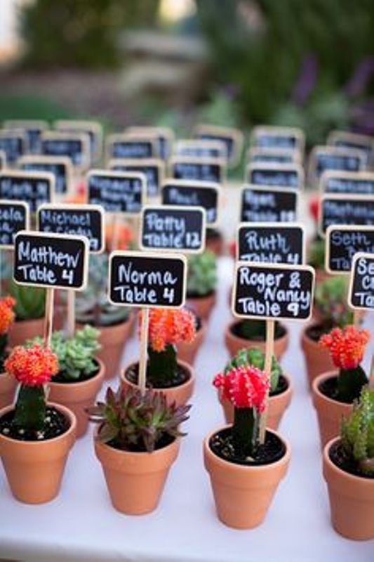 Picture Of fresh and cool ideas for a cacti filled wedding  9