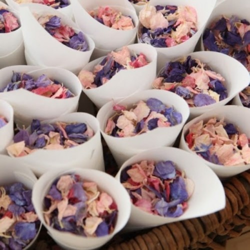 dried flower petals are great instead of usual confetti, they will degrade easily