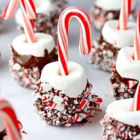 marshmallows with chocolate and candy canes look creative and super fun and scream holidays