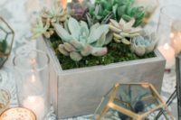 a casual wedding centerpiece of a box planter with moss and various succulents and a gilded terrarium with succulents