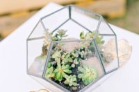 a terrarium with succulents and rocks plus candles is an edgy and stylish idea of a centerpiece