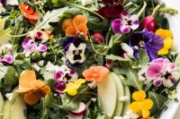 a fresh pansy, radish, apple and greenery salas with blood orange vinaigrette is a gorgeous dish for your menu
