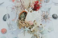 a beach composition of blue and coral sea urchins, starfish, driftwood, seashells, air plants and corals catches an eye