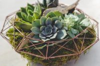 a chic geometric terrarium with moss, driftwood and succulents for a modern and bold wedidng centerpiece