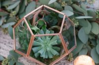 a cute copper terrarium with moss and airplants plus succulents and lush eucalyptus for a table runner