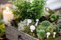 a weathered wood crate with moss, succulents, mshrooms and greenery is a gerat option for a woodland wedding