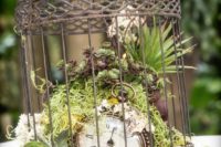 moss, greenery, succulents, air plants and a vintage pocket watch in a vintage cage for a beautiful and unique centerpiece