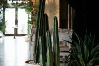 oversized cacti and succulents in pots and candles for deecorating your wedding venue
