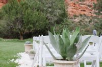oversized cacti and succulents in pots and white petals for accenting and decorating a wedding ceremony space