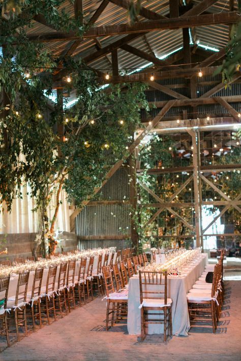 a barn wedding reception looking like a forest with lights, neutral linens and wooden beams is a very welcoming space