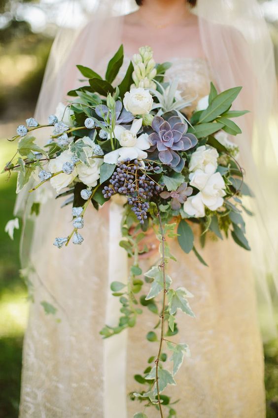 a beautiful cascading wedding bouquet with white blooms, a dark succulent, berries, blue blooms and some cascading greenery