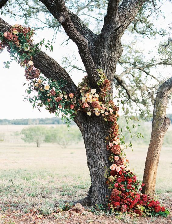 a living tree decorated with neutral and burgundy blooms and foliage for an outdoor fall wedding ceremony