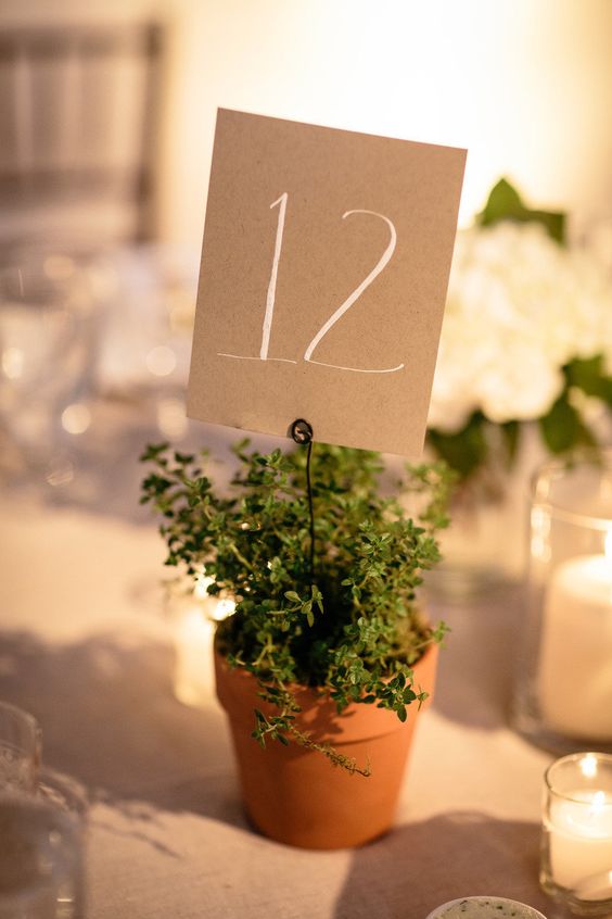 potted greenery with a simple cardboard table number is a cool and easy fall and not only fall decor idea