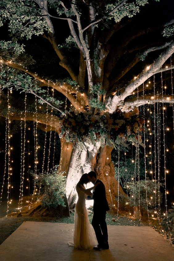 curtains of string lights hanging on a living tree will create a unique and very intimate wedding ceremony space