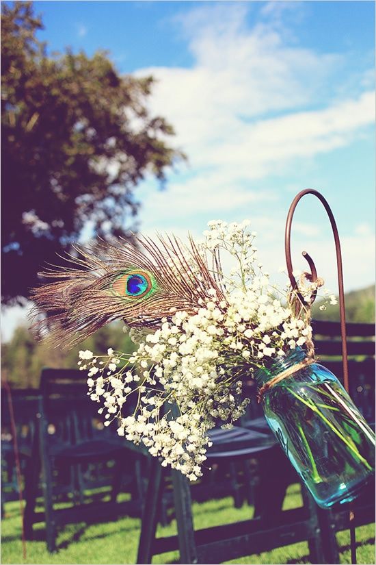 a jar with baby's breath and peacock feathers for decorating wedding aisle chairs