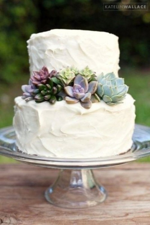 a white textural buttercream wedding cake with succulents is a chic idea with a trendy feel - who wants blooms when you may have succulents