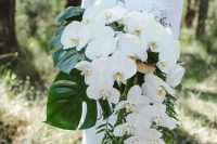 a lush cascading wedding bouquet with large monstera leaves and white orchids for an elegant feel