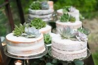 31 multiple one-tier naked wedding cakes topped with succulents are a great choice for a rustic wedding, and not only