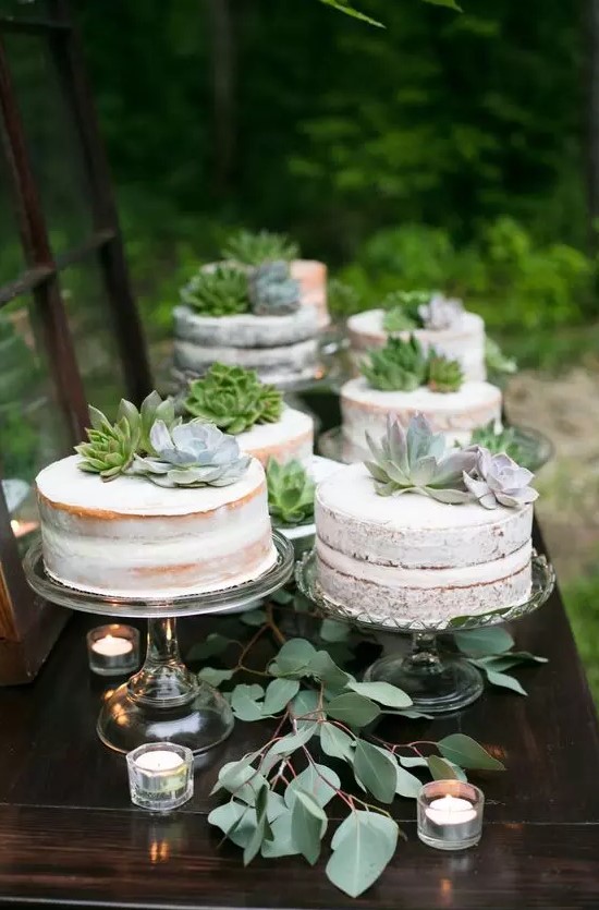 multiple one tier naked wedding cakes topped with succulents are a great choice for a rustic wedding, and not only