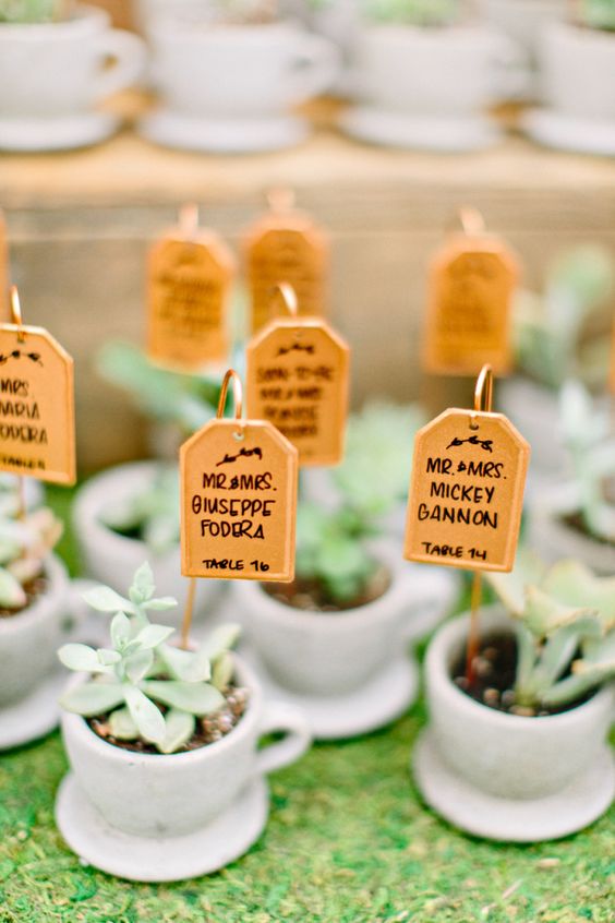 simple teacups with succulents and escort cards designed as teabags on holders is a cool idea