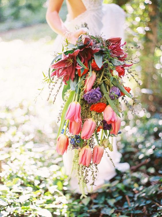 a colorful cascading wedding bouquet with lilies, tulips, lots of greenery and bold purple roses is a amazing