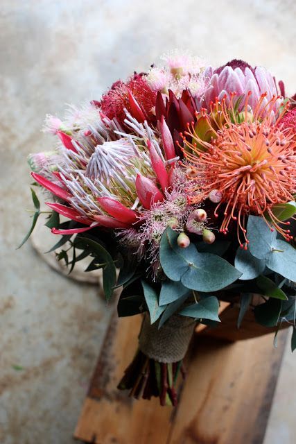 a wedding bouquet of pincushion and king proteas, berries and greenery is a stylish and catchy idea for a wedding