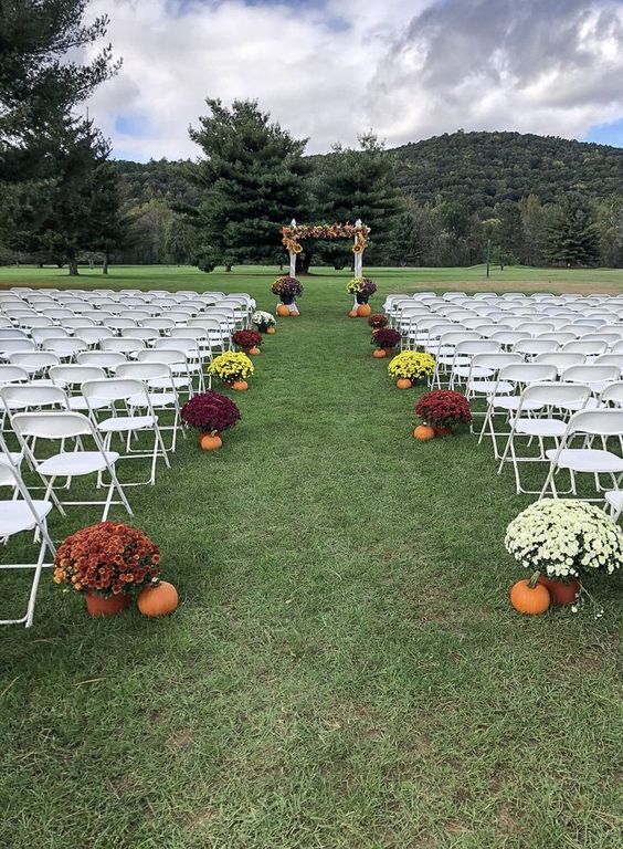 a simple rustic fall wedding aisle with pumpkins and bold potted blooms is a cool and bright idea for a fall wedding