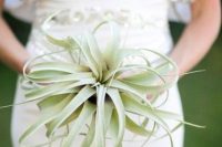 an air plant wedding bouquet is an eco-friendly idea that can be rocked any time and then you may reuse this plant