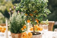 a Tuscany wedding centerpiece of orange tulips, potted greenery and a mini tree is super cool
