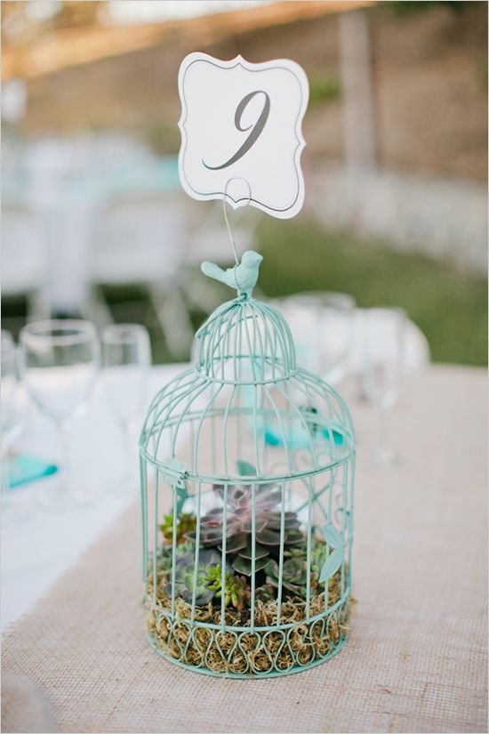 a turquoise cage with moss and succulents inside, with a turquoise love bird and a table number doubles a sa centerpiece