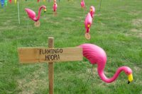 a garden wedding event with flamingoes is a lovely idea for a summer or tropical garden wedding