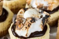 mini s’mores cheesecakes with chocolate are amazing for a campfire wedding or for a woodland one