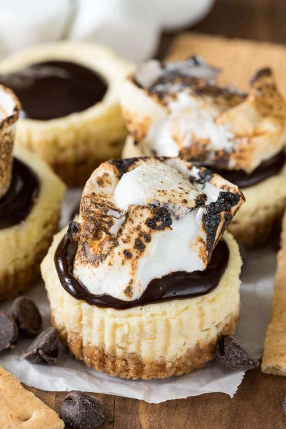 mini s'mores cheesecakes with chocolate are amazing for a campfire wedding or for a woodland one