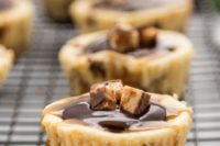 mini snickers cheesecakes with chocolate on top and some caramel are amazingly delicious