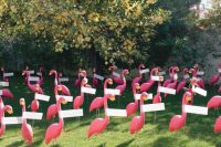 pink flamingoes holding cards instead of a usual seating chart are a veyr creative and fun idea to go for