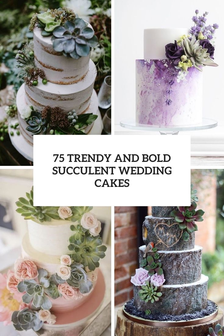 trendy and bold succulent wedding cakes cover