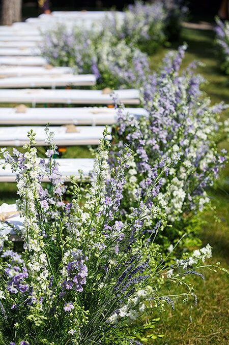 a beautiful spring wedding aisle decorated with white and lilac blooming branches creates a garden feel in the space easily
