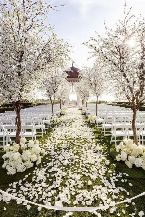 a heavenly beautiful wedding ceremony space with a rotunda with curtains, blooming branches and white hydrangeas lining up the aisle