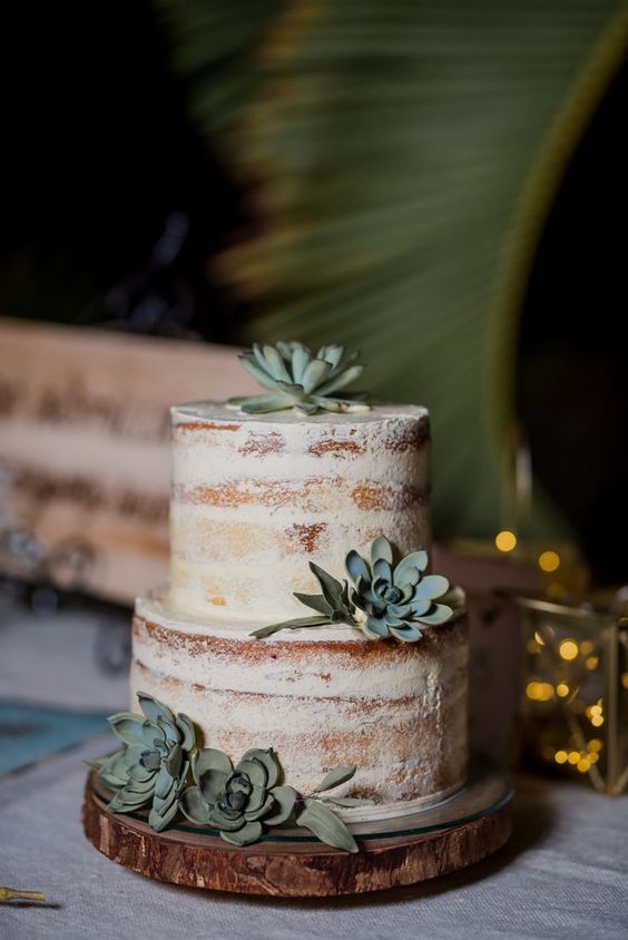 a naked wedding cake decorated with succulents is a lovely idea for a rustic or some other wedding, it looks cool