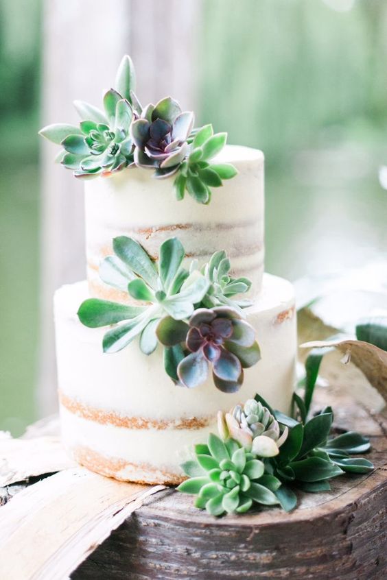 a naked wedding cake decorated with succulents is a rustic idea for a modern wedding, it's pretty and cool and you can add succulents yourself