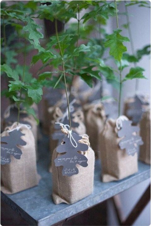 Mini trees wrapped in burlap, with leaf shaped cards are amazing as wedding favors, can be rocked at a woodland or rustic wedding