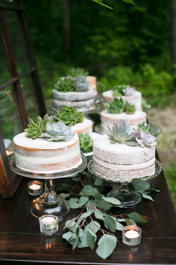 multiple one-tier naked wedding cakes topped with succulents are a great choice for a rustic wedding, and not only