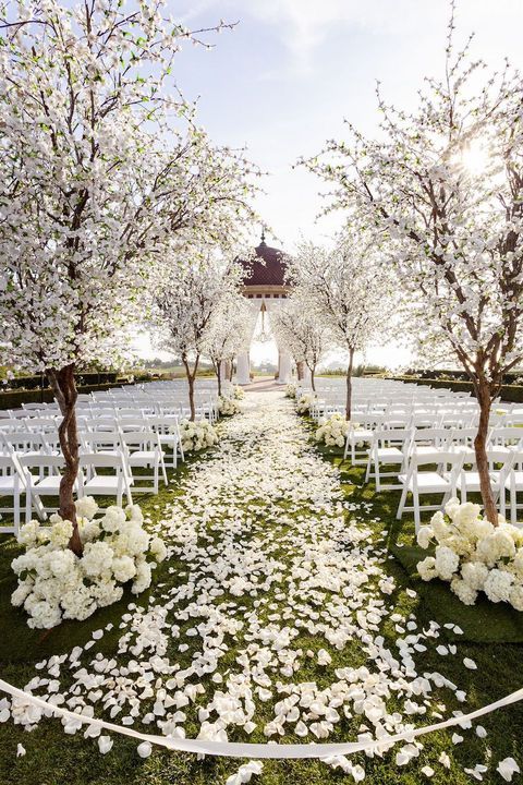 a jaw-dropping and breathtaking wedding ceremony space with blooming trees and white hydrangeas lining up the aisle and white petals on it